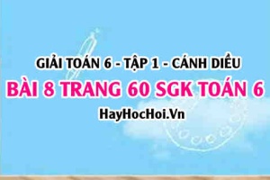 Giải bài 8 trang 60 Toán 6 Tập 1 SGK Cánh Diều